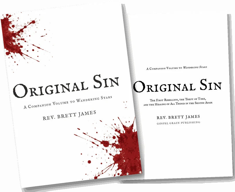 Original Sin &mdash; jacketed hardcover